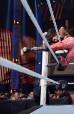 WWE - Fastlane 2016 Digitals