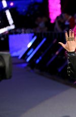 WWE - Fastlane 2016 Digitals