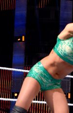 WWE - Fastlane 2016 Digitals