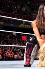 WWE - Fastlane 2016 Digitals