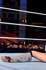 WWE - Fastlane 2016 Digitals