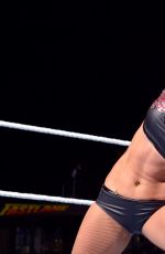 WWE - Fastlane 2016 Digitals