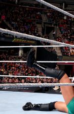 WWE - Fastlane 2016 Digitals