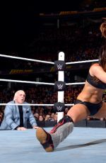 WWE - Fastlane 2016 Digitals