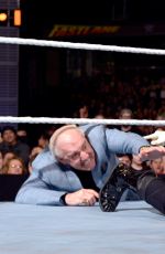 WWE - Fastlane 2016 Digitals