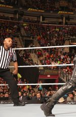 WWE - Fastlane 2016 Digitals