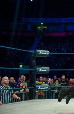 WWE - iMPACT Digitals 02/16/2016