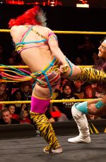 WWE - NXT Digitals 02/03/2016