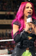 WWE - Raw Digitals 02/01/2016