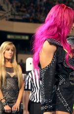 WWE - Raw Digitals 02/01/2016