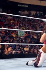 WWE - Raw Digitals 02/01/2016