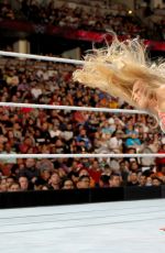 WWE - Raw Digitals 02/15/2016