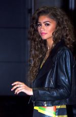 ZENDAYA COLEMAN at Chelsea Arts Tower in New York 02/23/2016