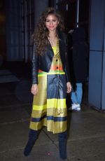 ZENDAYA COLEMAN at Chelsea Arts Tower in New York 02/23/2016