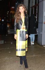ZENDAYA COLEMAN at Chelsea Arts Tower in New York 02/23/2016