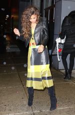 ZENDAYA COLEMAN at Chelsea Arts Tower in New York 02/23/2016