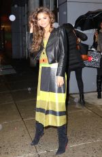 ZENDAYA COLEMAN at Chelsea Arts Tower in New York 02/23/2016