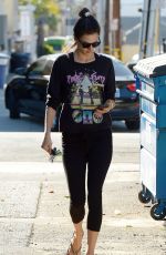 ALESSANDRA AMBROSIO Out and About in Los Angeles 03/23/2016