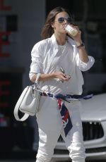 ALESSANDRA AMBROSIO Out Shopping in Los Angeles 03/26/2016