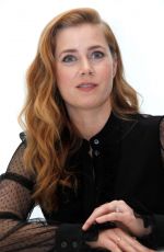 AMY ADAMS at 