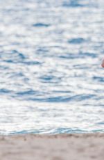 ANNA FARIS in Bikini at a Beach in Hawaii 03/27/2016