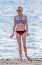 ANNA FARIS in Bikini at a Beach in Hawaii 03/27/2016