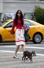 FAMKE JANSSEN Walks Her Dog Out in New York 03/11/2016