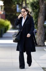 JULIA LOUIS-DREYFUS Out and About in Los Angeles 03/22/2016