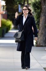 JULIA LOUIS-DREYFUS Out and About in Los Angeles 03/22/2016