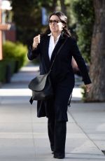 JULIA LOUIS-DREYFUS Out and About in Los Angeles 03/22/2016