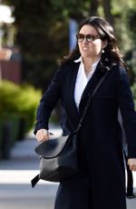 JULIA LOUIS-DREYFUS Out and About in Los Angeles 03/22/2016