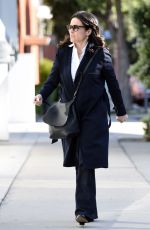 JULIA LOUIS-DREYFUS Out and About in Los Angeles 03/22/2016