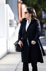 JULIA LOUIS-DREYFUS Out and About in Los Angeles 03/22/2016