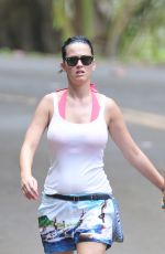 KATY PERRY and Orlando Bloom Out Hiking in Hawaii 02/27/2016