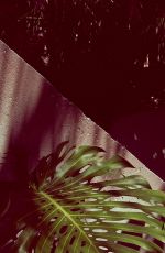 KENDALL JENNER for Penshoppe Spring 2016 Campaign