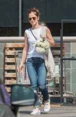 MINKA KELLY Out Shopping in Los Angeles 03/18/2016
