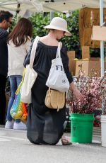 Pregnant ANNE HATHAWAY Shopping at Farmer