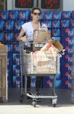 ASHLEY GREENE Shopping at Bristol Farms in Los Angeles 04/22/2016