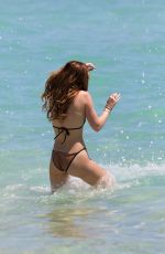 BELLA and DANI THORNE in Bikinis on the Beach in Miami 04/08/2016