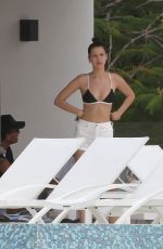 BELLA HADID in Bikini Top at a Pool in St. Barts 04/01/2016