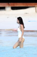 BELLA HADID in Swimsuit at a Beach in St. Barts 04/02/2016