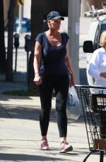 BRIGITTE NIELSEN Out and About in Studio City 03/15/2016