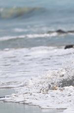 DAISY LES at 138 Water Photoshoot in Malibu 04/18/2016