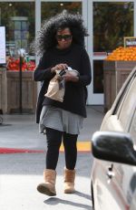 DIANA ROSS Leaves Bristol Farms in Beverly Hills 03/27/2016