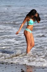 JASMIN WALIA in Bikini on the Beach in Malibu 03/15/2016