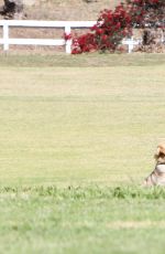 JENNIFER GARNER Walks Her Dog Out in Los Angeles 04/04/2016