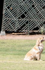 JENNIFER GARNER Walks Her Dog Out in Los Angeles 04/04/2016