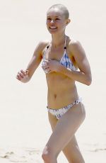 KATE BOSWORTH in Bikini at a Beach in Hawaii 03/31/2016