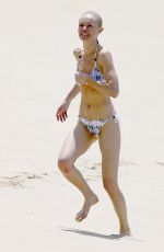 KATE BOSWORTH in Bikini at a Beach in Hawaii 03/31/2016