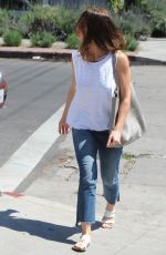 MINKA KELLY Out Shopping in Los Angeles 03/31/2016